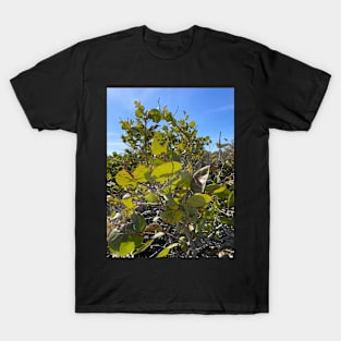 Sea Grapes T-Shirt